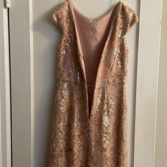 Vera Wang formal pink rose lace with gold/sliver detail size 6 - Picture 6 of 6